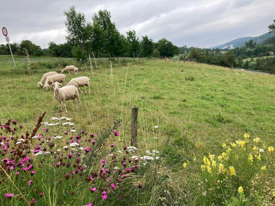 Ferienwohnung Niederstetten Esterno foto
